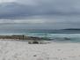 4) St. Helens - Bicheno - Freycinet NP - Bicheno